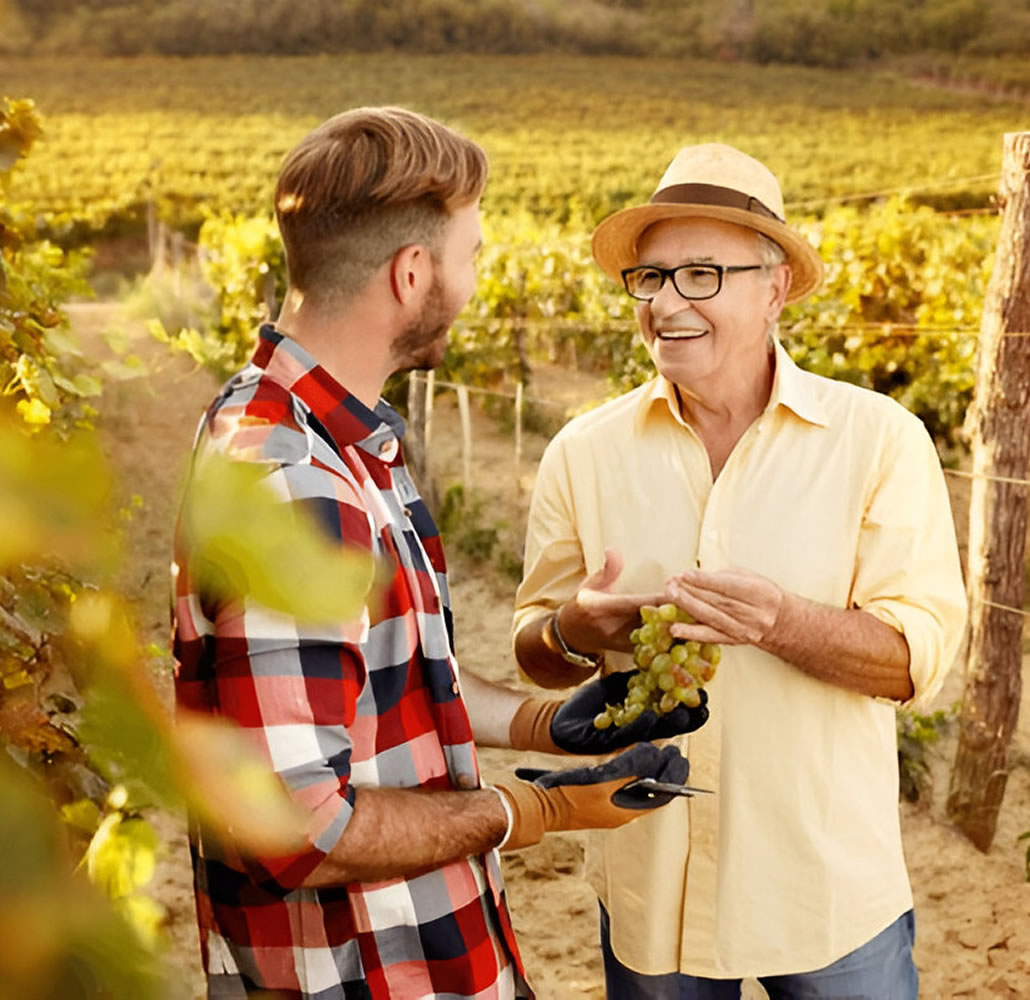 Succession Strategy